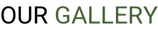 OUR GALLERY