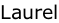 Laurel